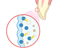 ホワイトニングのメカニズムA